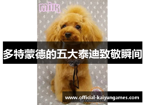 多特蒙德的五大泰迪致敬瞬间