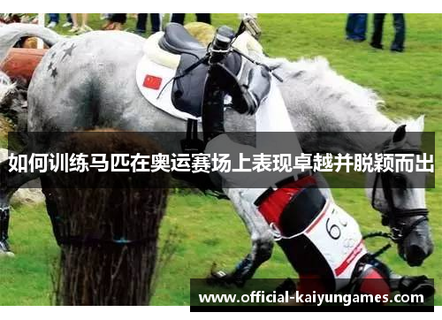 如何训练马匹在奥运赛场上表现卓越并脱颖而出