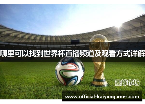 哪里可以找到世界杯直播频道及观看方式详解