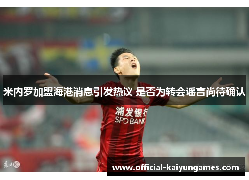 米内罗加盟海港消息引发热议 是否为转会谣言尚待确认