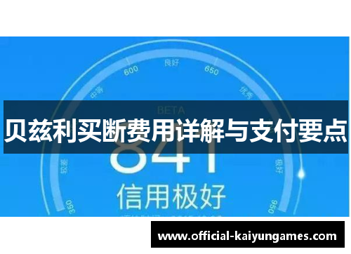 贝兹利买断费用详解与支付要点