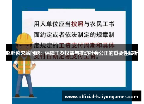赵鹏谈欠薪问题：保障工资权益与推动社会公正的重要性解析