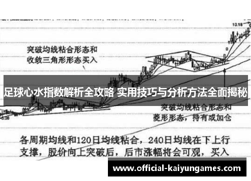 足球心水指数解析全攻略 实用技巧与分析方法全面揭秘