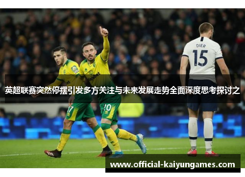 英超联赛突然停摆引发多方关注与未来发展走势全面深度思考探讨之